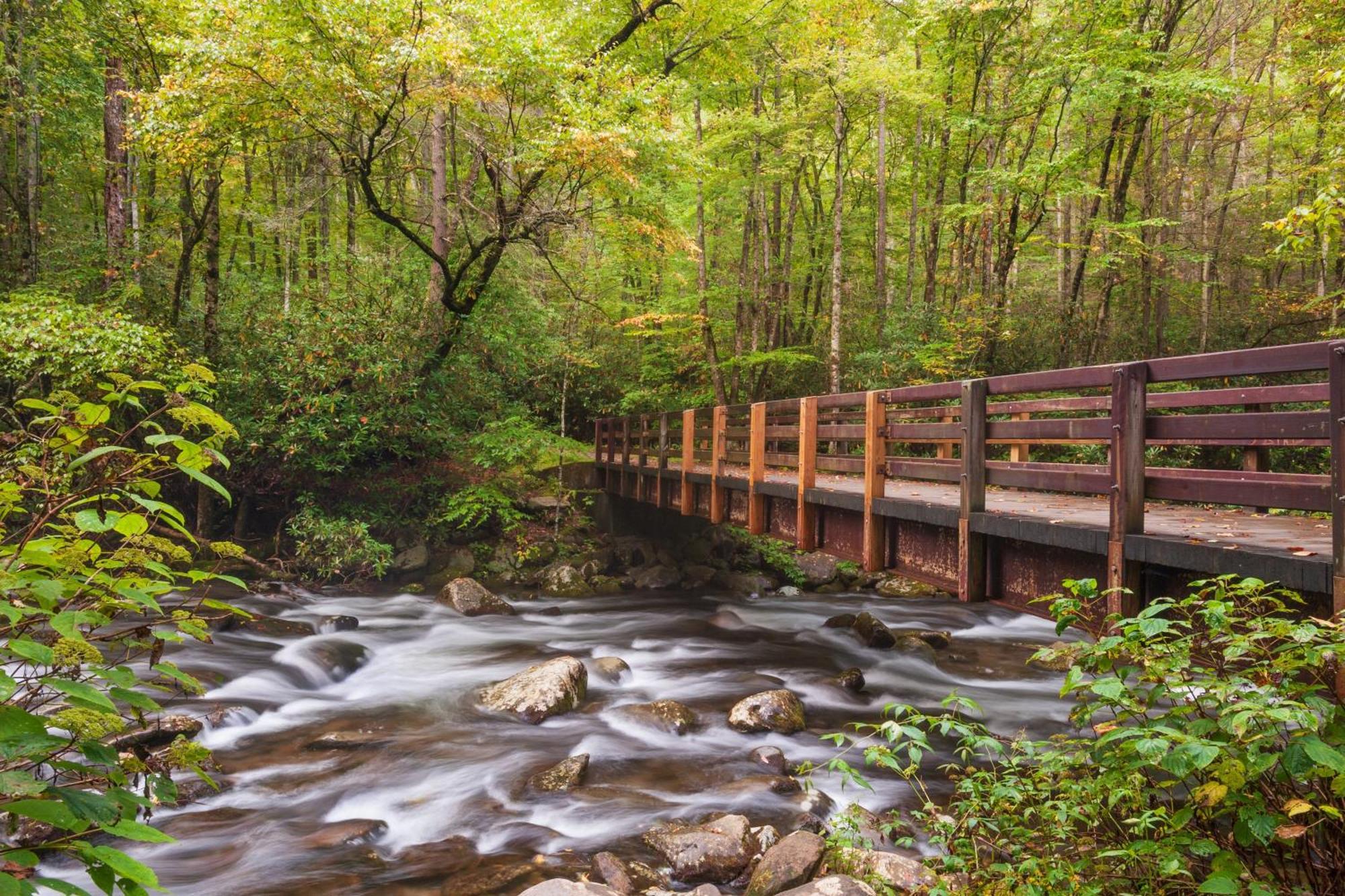 Three Bears Den Villa Gatlinburg Kültér fotó